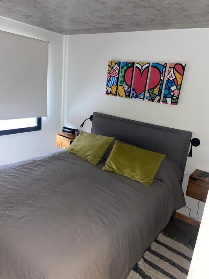Aiken Sma Suite San Martín de los Andes 外观 照片